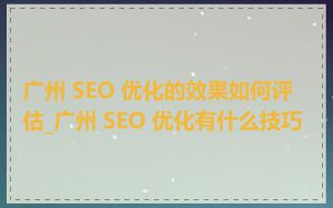 广州 SEO 优化的效果如何评估_广州 SEO 优化有什么技巧