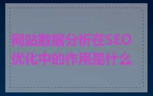 网站数据分析在SEO优化中的作用是什么