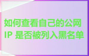 如何查看自己的公网 IP 是否被列入黑名单