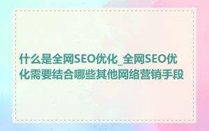 什么是全网SEO优化_全网SEO优化需要结合哪些其他网络营销手段