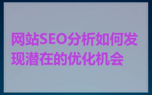 网站SEO分析如何发现潜在的优化机会