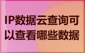 IP数据云查询可以查看哪些数据