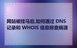 网站被挂马后,如何通过 DNS 记录和 WHOIS 信息排查病源