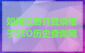 如何注册并登录桔子SEO历史查询网