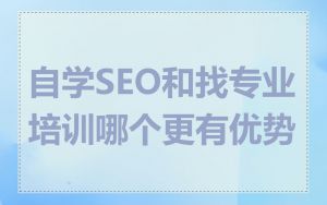 自学SEO和找专业培训哪个更有优势