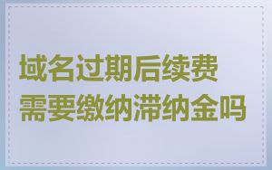 域名过期后续费需要缴纳滞纳金吗