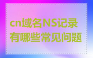 cn域名NS记录有哪些常见问题