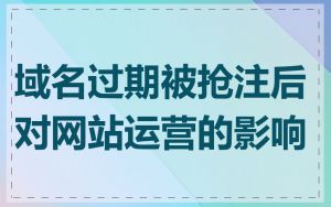 域名过期被抢注后对网站运营的影响