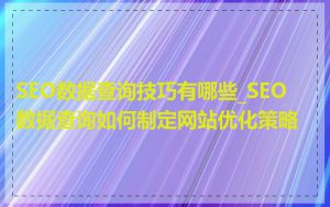 SEO数据查询技巧有哪些_SEO数据查询如何制定网站优化策略