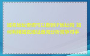 域名地址查询可以查到IP地址吗_如何利用域名地址查询分析竞争对手