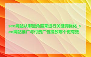 seo网站从哪些角度来进行关键词优化_seo网站推广与付费广告投放哪个更有效