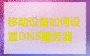 移动设备如何设置DNS服务器