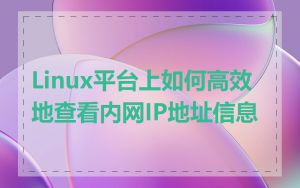 Linux平台上如何高效地查看内网IP地址信息