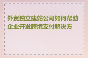 外贸独立建站公司如何帮助企业开发跨境支付解决方案