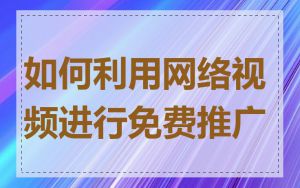 如何利用网络视频进行免费推广