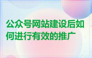 公众号网站建设后如何进行有效的推广