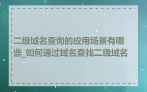 二级域名查询的应用场景有哪些_如何通过域名查找二级域名