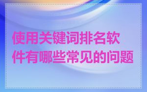 使用关键词排名软件有哪些常见的问题