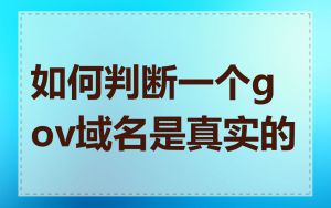 如何判断一个gov域名是真实的