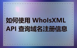 如何使用 WhoIsXML API 查询域名注册信息