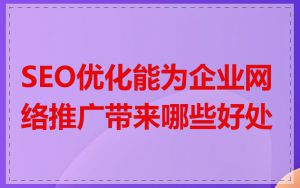 SEO优化能为企业网络推广带来哪些好处