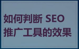 如何判断 SEO 推广工具的效果