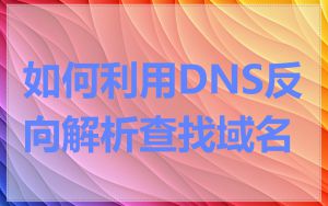 如何利用DNS反向解析查找域名