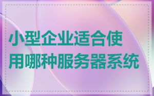 小型企业适合使用哪种服务器系统