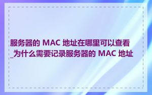 服务器的 MAC 地址在哪里可以查看_为什么需要记录服务器的 MAC 地址