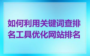 如何利用关键词查排名工具优化网站排名