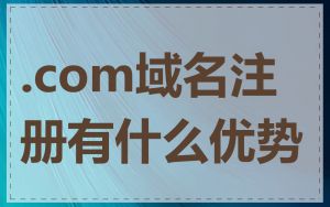 .com域名注册有什么优势