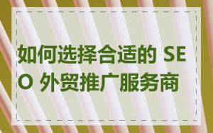 如何选择合适的 SEO 外贸推广服务商