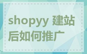 shopyy 建站后如何推广