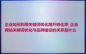 企业如何利用关键词优化提升转化率_企业网站关键词优化与品牌建设的关系是什么