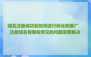 域名注册成功后如何进行优化和推广_注册域名有哪些常见的问题需要解决