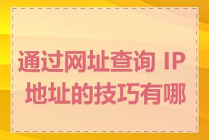 通过网址查询 IP 地址的技巧有哪些