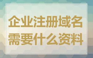 企业注册域名需要什么资料