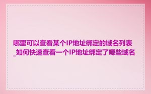 哪里可以查看某个IP地址绑定的域名列表_如何快速查看一个IP地址绑定了哪些域名