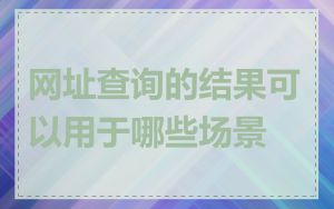 网址查询的结果可以用于哪些场景