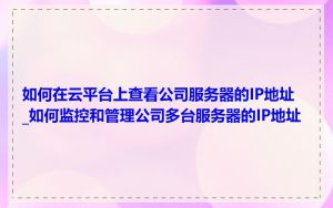 如何在云平台上查看公司服务器的IP地址_如何监控和管理公司多台服务器的IP地址