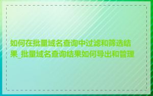 如何在批量域名查询中过滤和筛选结果_批量域名查询结果如何导出和管理