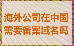 海外公司在中国需要备案域名吗