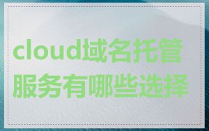 cloud域名托管服务有哪些选择