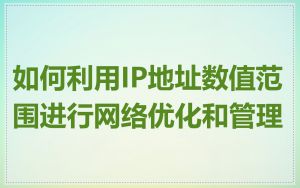 如何利用IP地址数值范围进行网络优化和管理