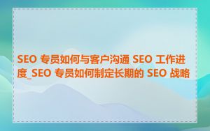 SEO 专员如何与客户沟通 SEO 工作进度_SEO 专员如何制定长期的 SEO 战略