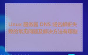 Linux 服务器 DNS 域名解析失败的常见问题及解决方法有哪些