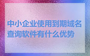 中小企业使用到期域名查询软件有什么优势