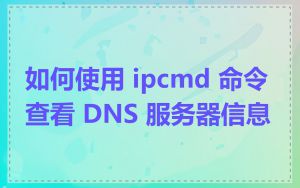 如何使用 ipcmd 命令查看 DNS 服务器信息