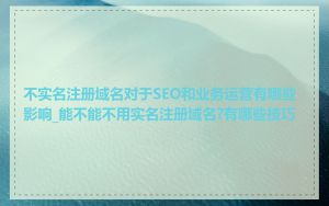 不实名注册域名对于SEO和业务运营有哪些影响_能不能不用实名注册域名?有哪些技巧