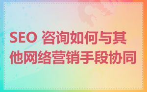 SEO 咨询如何与其他网络营销手段协同